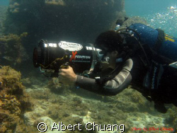 this image taken by canon powershot A720is,with natural l... by Albert Chuang 